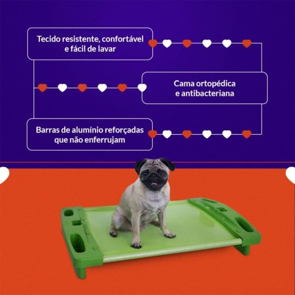 Cama Pet Ortopédica para Cachorro Porte Pequeno Verde AmoAmora Pet - Imagem 3
