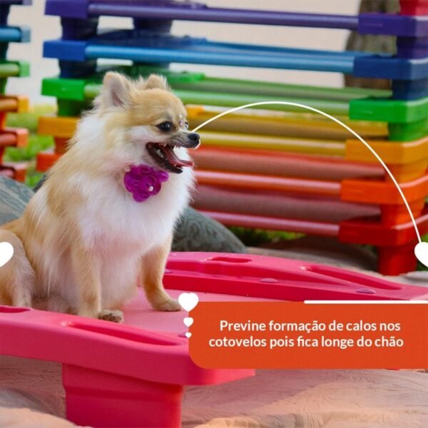 Cama Pet Ortopédica para Cachorro Porte Pequeno Verde AmoAmora Pet - Imagem 4