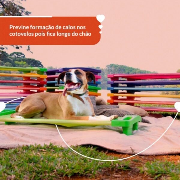 Cama Pet Ortopédica para Cachorro Porte Pequeno Verde AmoAmora Pet - Imagem 5