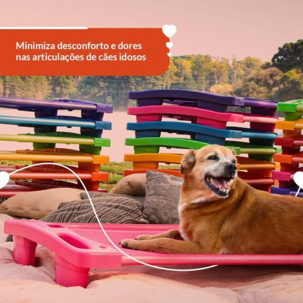 Cama Pet Ortopédica para Cachorro Porte Pequeno Verde AmoAmora Pet - Imagem 6