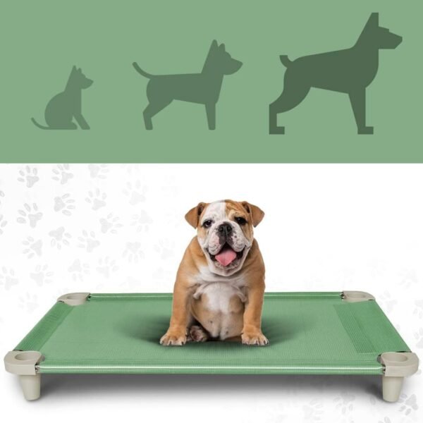 Cama Pet, Cama para Cachorros, Confortável e Higiênica, Manta Cor Verde e Pés Cor Gelo, Acrimet - Imagem 2