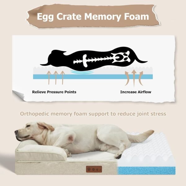 Cama ortopédica para cães tamanho médio bege sofá-cama com capa lavável removível de espuma viscoelástica sofá-cama confortável para cães (M, bege) - Imagem 3
