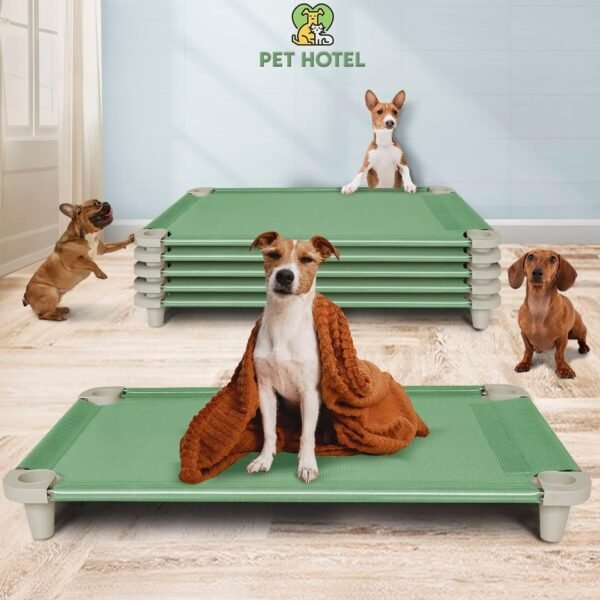 Cama Pet, Cama para Cachorros, Confortável e Higiênica, Manta Cor Verde e Pés Cor Gelo, Acrimet - Imagem 4