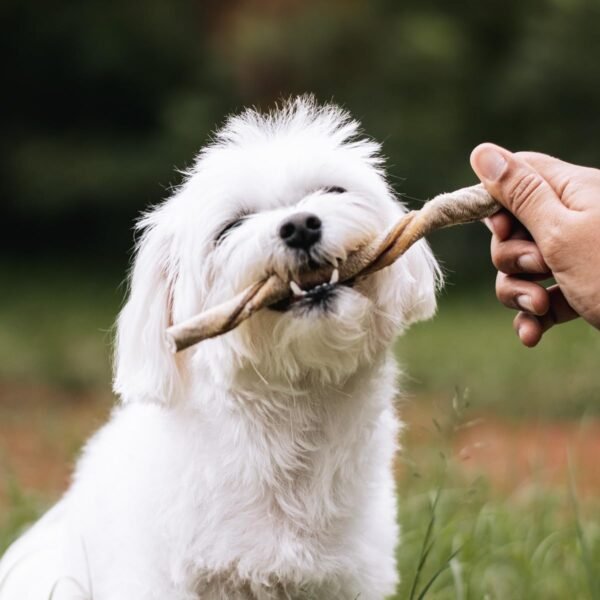 Mordedor Natural Pet Palitinho Bovino 4un P/Cachorro Natuka - Imagem 3