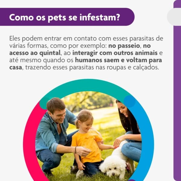 Bravecto® Cães 250mg - Antipulgas e Carrapatos - Cães de 4,5 a 10kg - 1 Comp. Mastigável - MSD Saúde Animal - Imagem 5