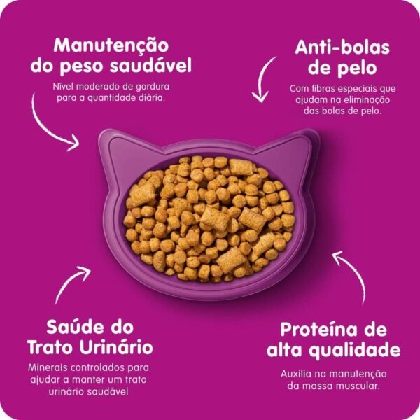 whiskas, Ração Whiskas Para Gatos Adultos Castrados Sabor Carne - 10.1Kg - Imagem 5