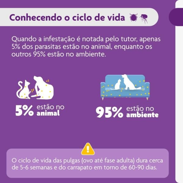 Bravecto® Cães 250mg - Antipulgas e Carrapatos - Cães de 4,5 a 10kg - 1 Comp. Mastigável - MSD Saúde Animal - Imagem 6