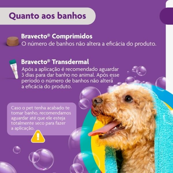 Bravecto® Cães 250mg - Antipulgas e Carrapatos - Cães de 4,5 a 10kg - 1 Comp. Mastigável - MSD Saúde Animal - Imagem 10