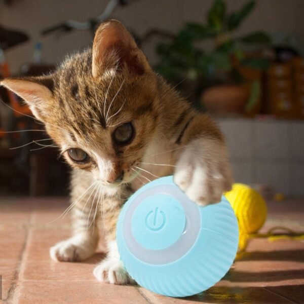 Bola de brinquedo interativa para gatos, brinquedos para gatos em ambientes fechados, rotação de 360°, brinquedo de bola de gato com movimento automático, carregamento USB (azul) - Image 5