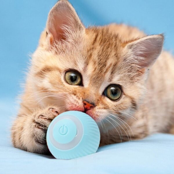 Bola de brinquedo interativa para gatos, brinquedos para gatos em ambientes fechados, rotação de 360°, brinquedo de bola de gato com movimento automático, carregamento USB (azul) - Image 6