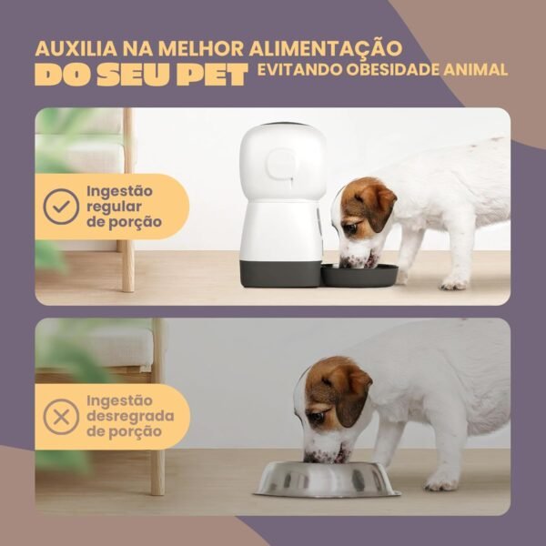 Alimentador Automático Smart Cães Gatos Pets Programável Animus - Imagem 4