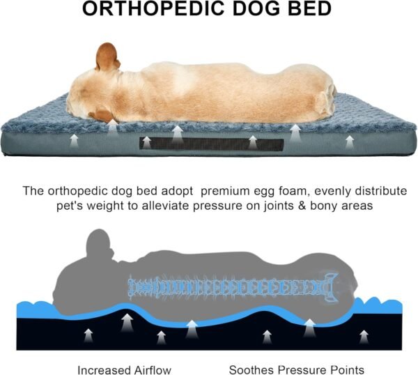 Camas ortopédicas para cães com capa lavável removível de espuma de ovo para animais de estimação com fundo antiderrapante, camas impermeáveis para cães, tamanho pequeno, 50 x 40 cm - Imagem 2