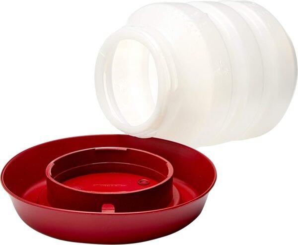 Alvorada Bebedouro para Frango, Pequeno 2.3L, Branco/Vermelho - Imagem 2