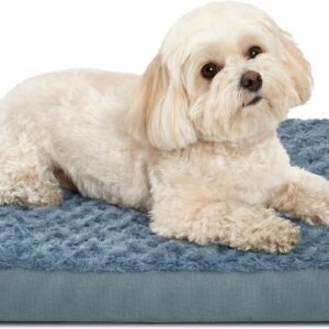 Camas ortopédicas para cães com capa lavável removível de espuma de ovo para animais de estimação com fundo antiderrapante, camas impermeáveis para cães, tamanho pequeno, 50 x 40 cm