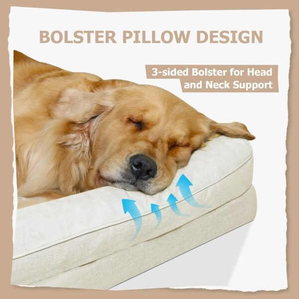 Cama ortopédica para cães tamanho médio bege sofá-cama com capa lavável removível de espuma viscoelástica sofá-cama confortável para cães (M, bege) - Imagem 2