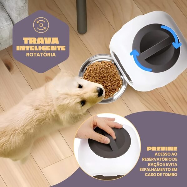 Alimentador Automático Smart Cães Gatos Pets Programável Animus - Imagem 6