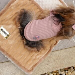 Colchao Cama pet para gatos e cahorros ortopedico
