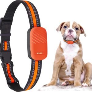 Coleira inteligente para rastreador GPS para animais de estimação, 4G, rastreamento de posição em tempo real, rastreador GPS de cães, monitor de atividade e fitness, à prova d'água, alarme